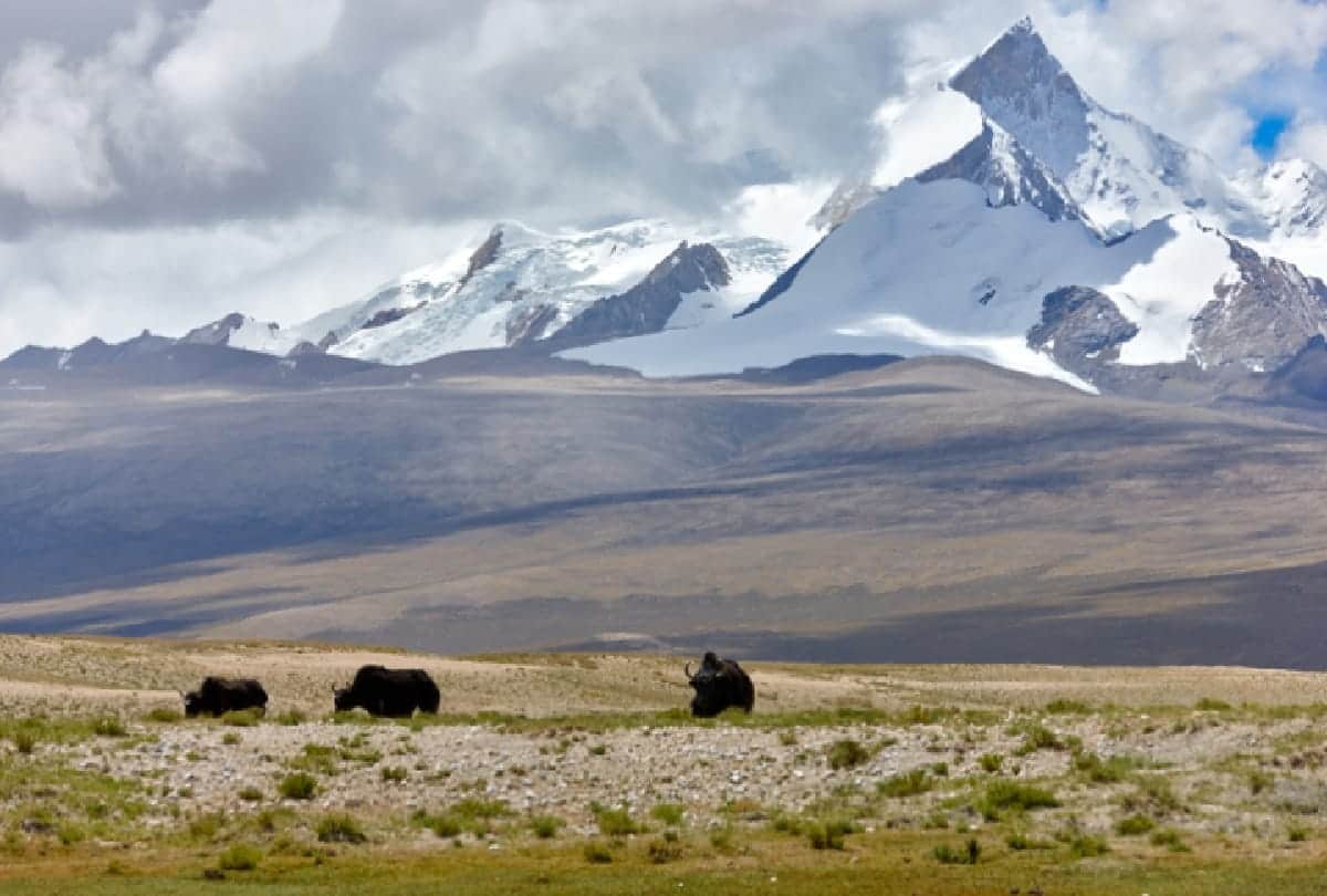 Mysterious Story of kailash mountain Om and damru voices comes from there