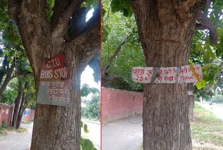 Boards of CTU Installed on Many Trees in Chandigarh