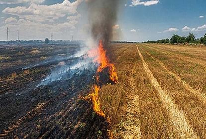 case of attempt to burn alive team that had gone to investigate stubble burning in Mathura has come to light