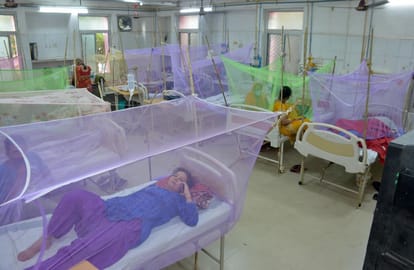 More patients, less figures: Like Corona, the health department is also hiding the figures of dengue