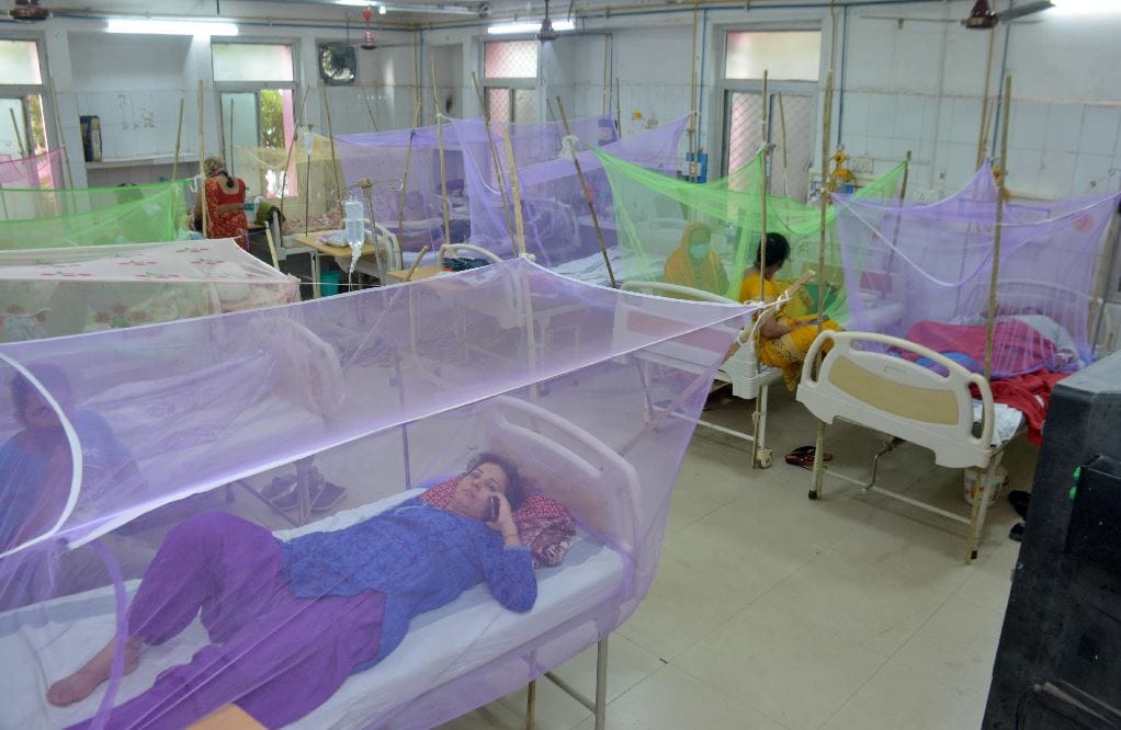 increasing case of dengue in Gorakhpur