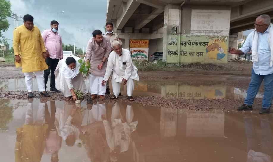 The MLA protested in a unique way, planted the plant in the pit on the road