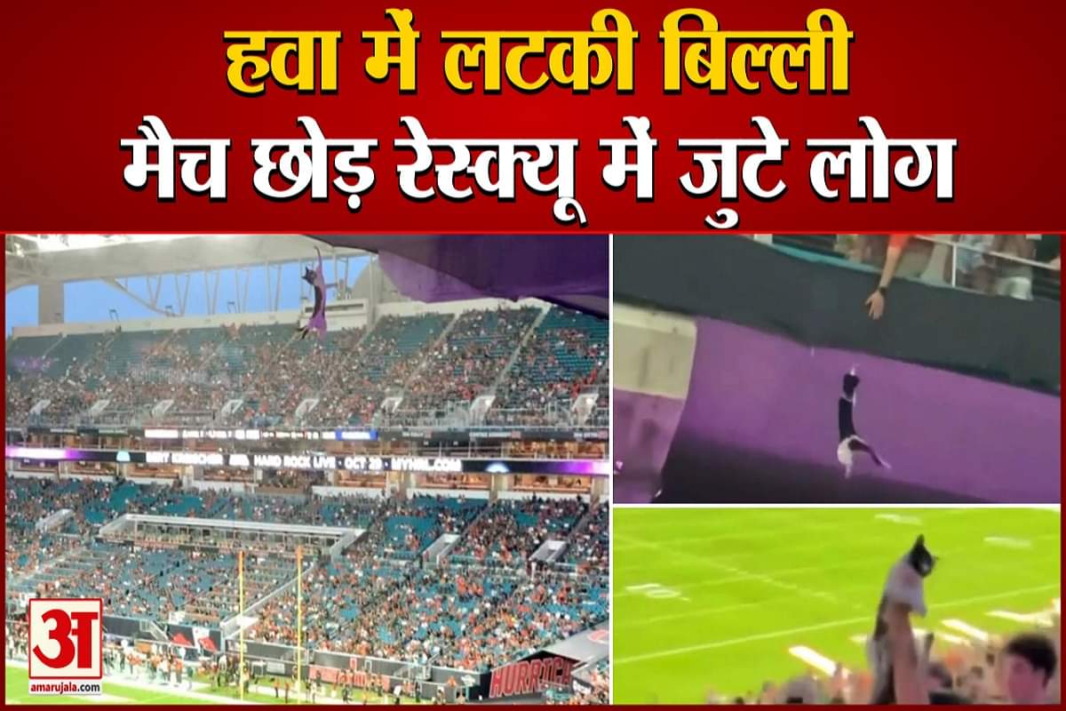 वायरल वीडियो