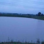 प्रतीकात्मक तस्वीर