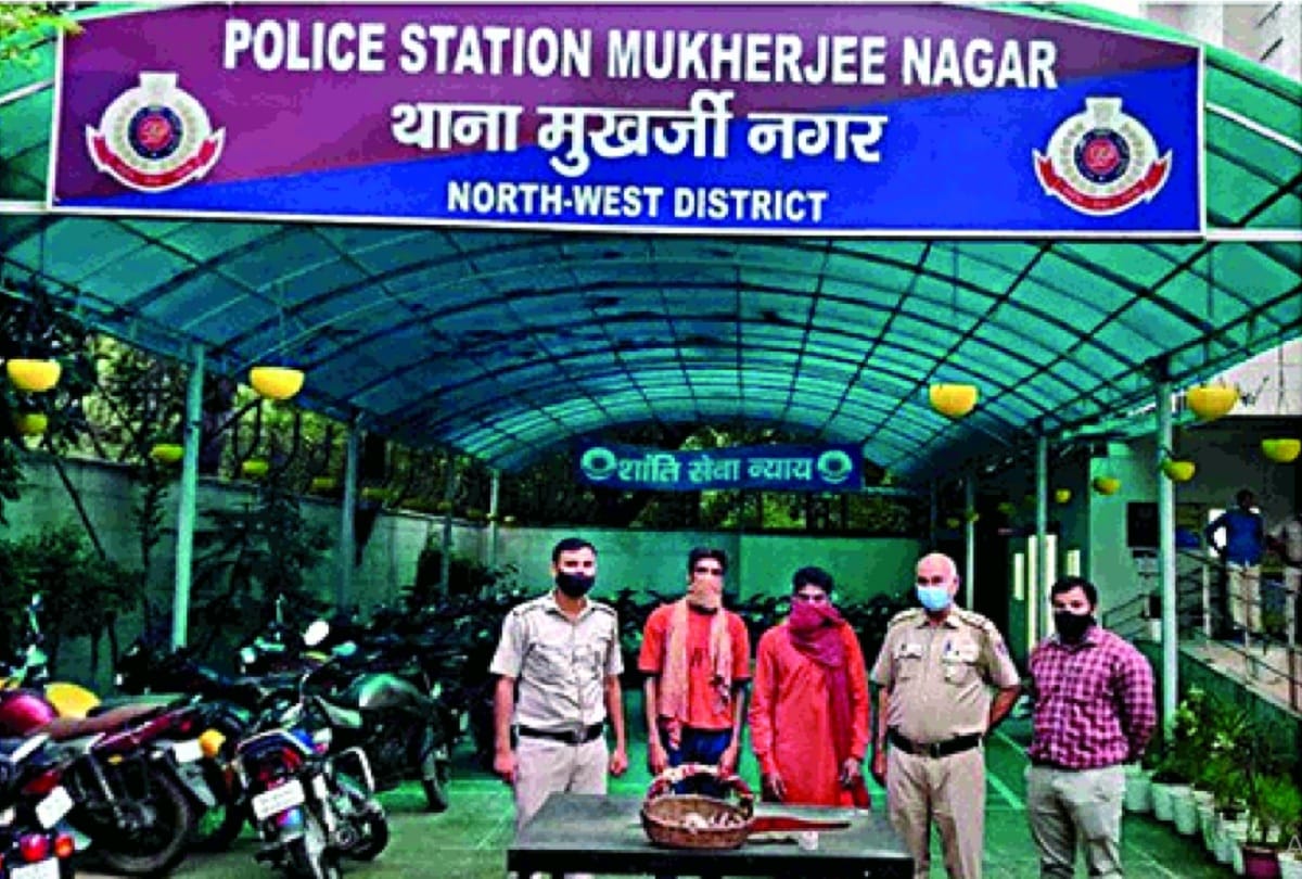 delhi police arrested two miscreants who robbed in the guise of snake charmer
