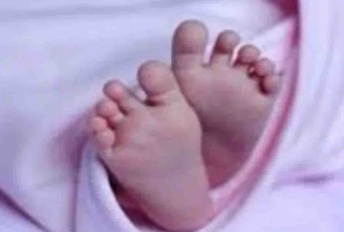 Kanpur 21 Day Old Twins Death News: Death of 21-day-old twins in kanpur