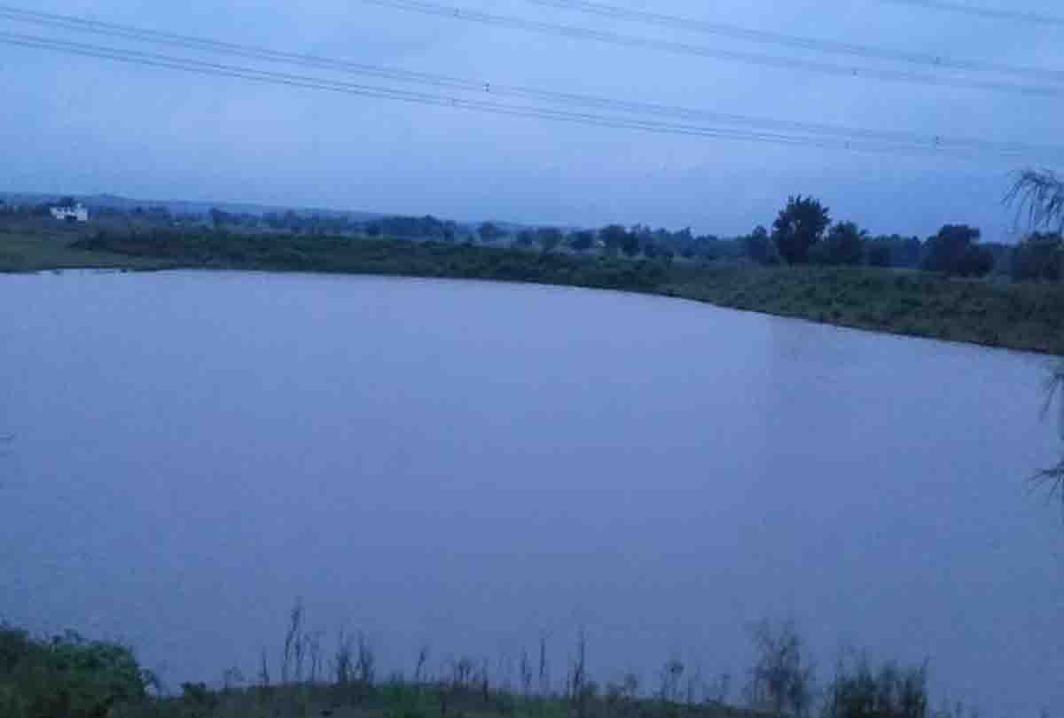 11 cows died due to drowning in pond at Gorakhpur