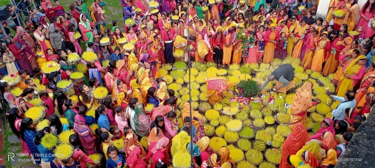 Hariyali festival celebrated by law in Triyuginarayan