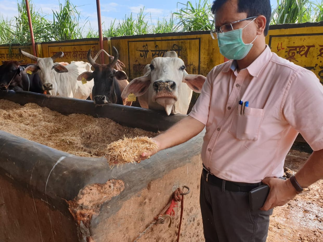 Seeing the pathetic condition of the cow, the SDM got furious