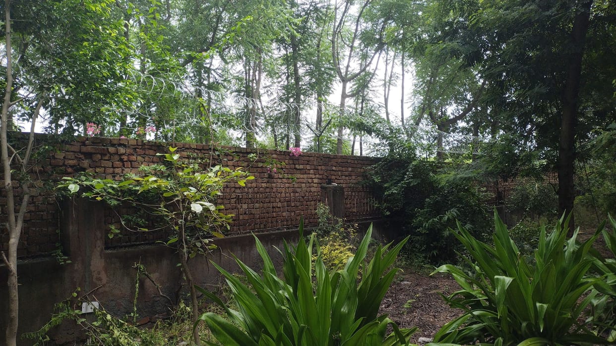 With the help of each other, both the girls ran by climbing a ten feet high wall.