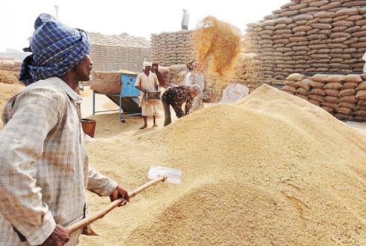 Farmers will Decide Schedule of Bringing their Crops to Market in Haryana