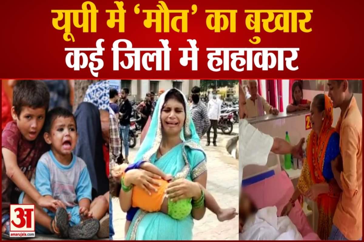 यूपी में बढ़ रहे डेंगू के मरीज