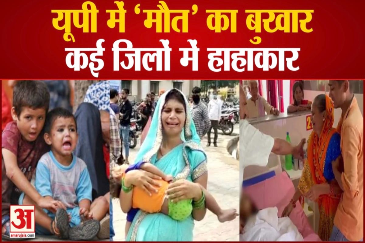 यूपी में बढ़ रहे डेंगू के मरीज