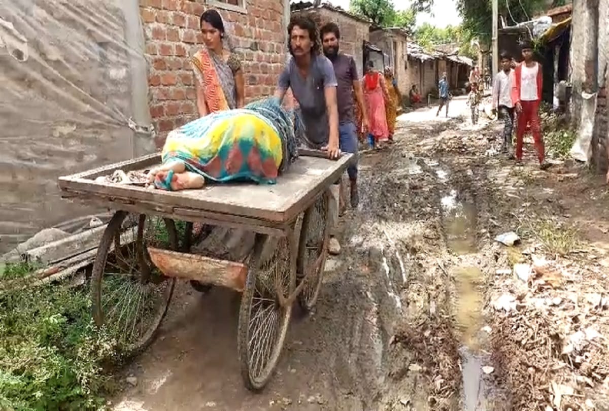 Madhya pradesh news, Delivery of Dewas pregnant woman had to be done on the road, brought home by cart