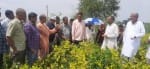 जैविक खेती के बारे में जानकारी लेते गुजरात के किसान। संवाद