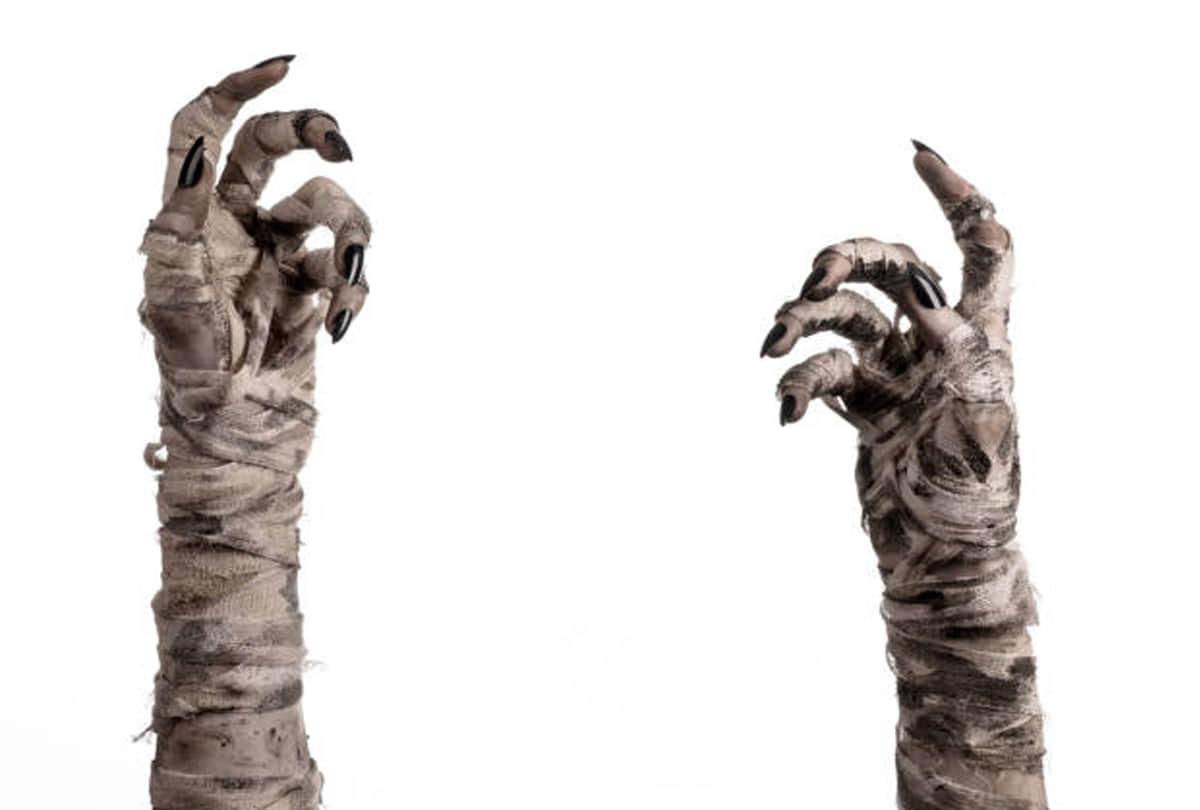 Egypt Archaeologists found 2000 years old ago 50 mummies know the mystery behind it