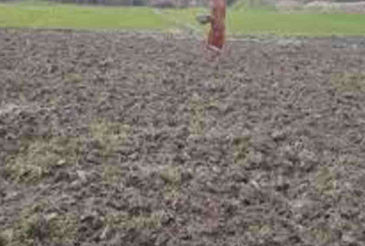 kanpur news: Occupation of village society land