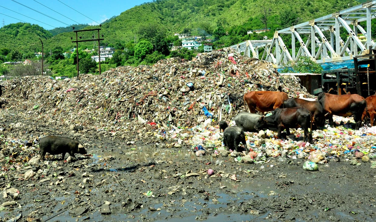 The smell spreading from the garbage pile in the dumping zone