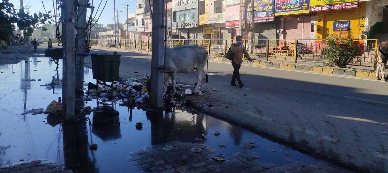 14 dumping points built on the main road in the city