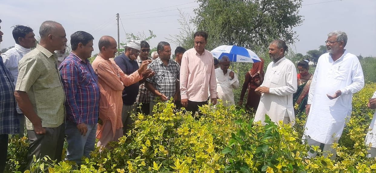 Farmers of Gujarat became a fan of organic farming in Haryana