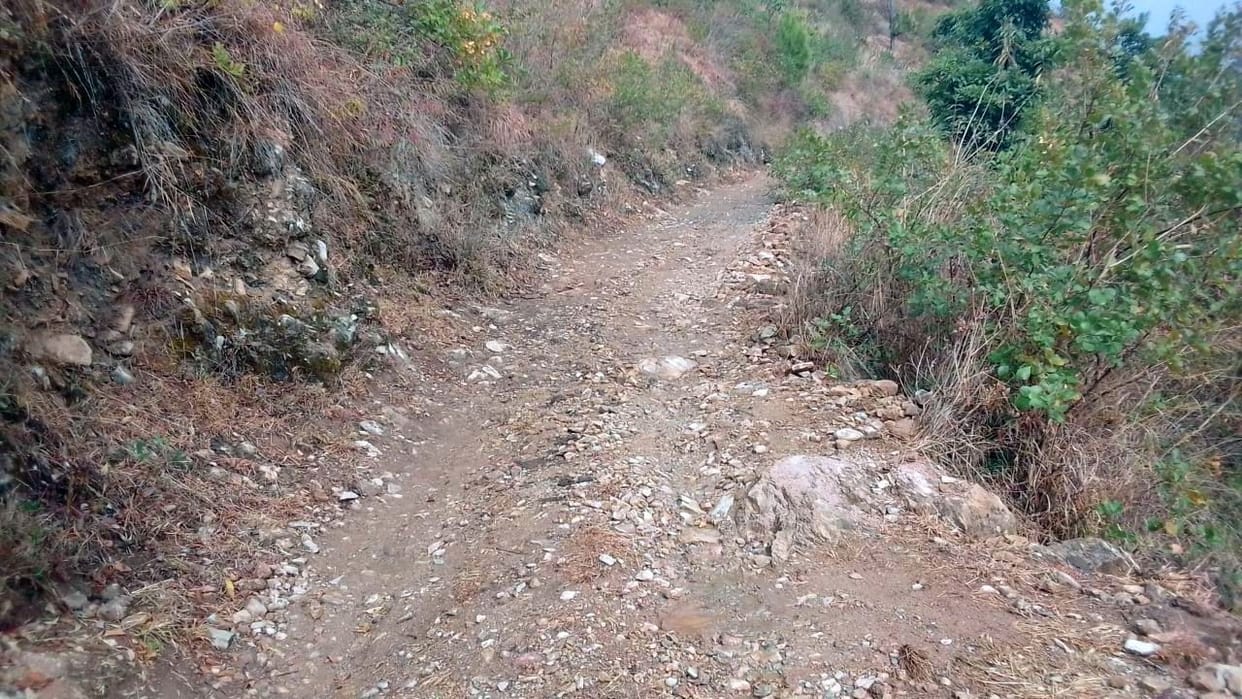 No Road No Vote in Moonakot