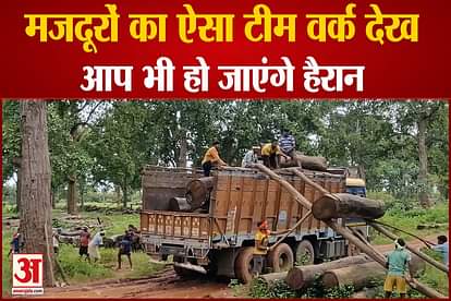 indian laboures found jugaad to carry wooden bundles perfect example of team work