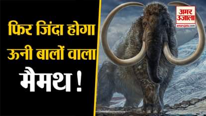 revival of wooly Mammoth elephant hybrid
