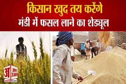 Haryana government took the decision Farmers Will Decide Schedule Of Bringing Their Crops To Market