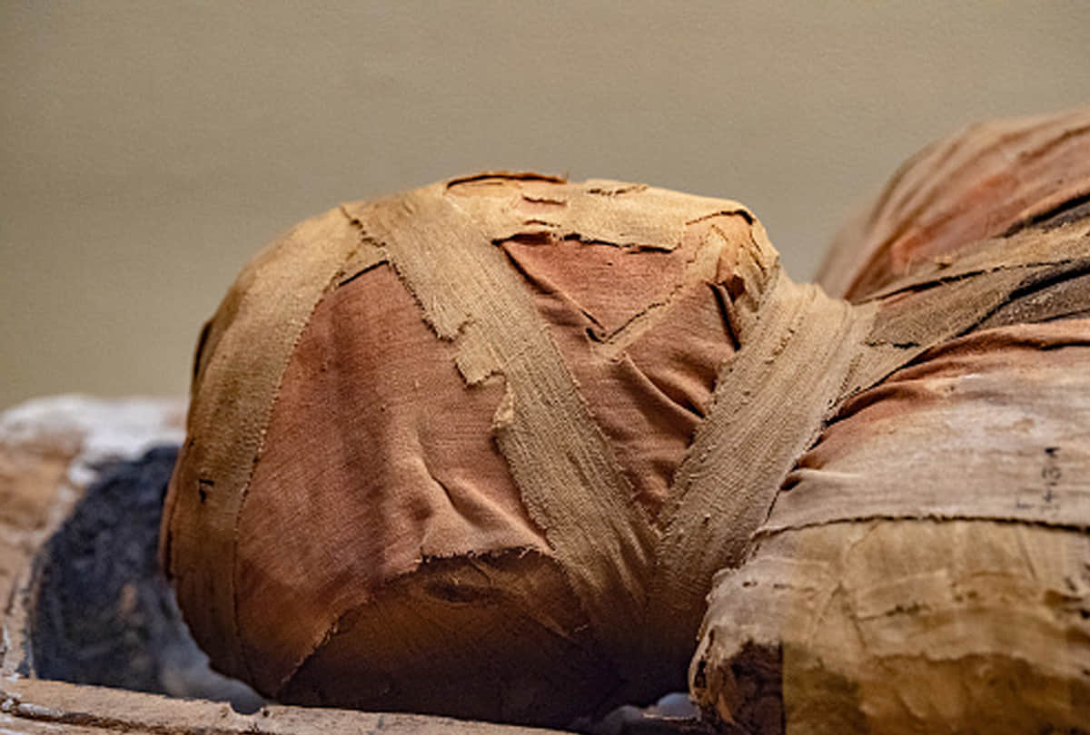Egypt Archaeologists found 2000 years old ago 50 mummies know the mystery behind it