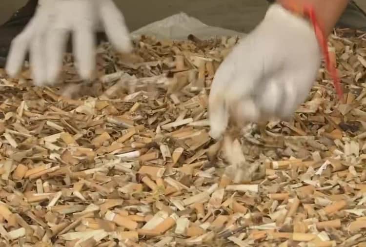 Mohali-based entrepreneur Twinkle Kumar is Recycling Cigarette Butts into Toys