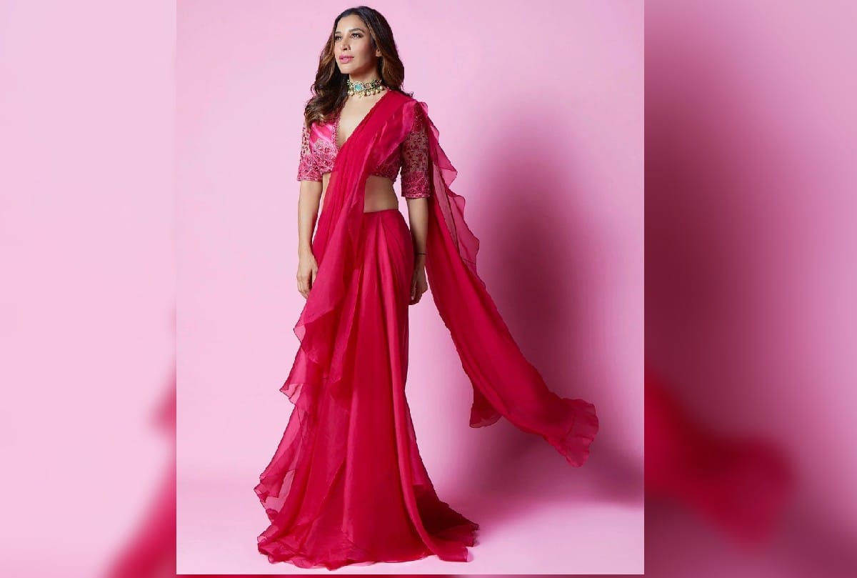 Sophie Choudry pink Ruffle saree photos and cost