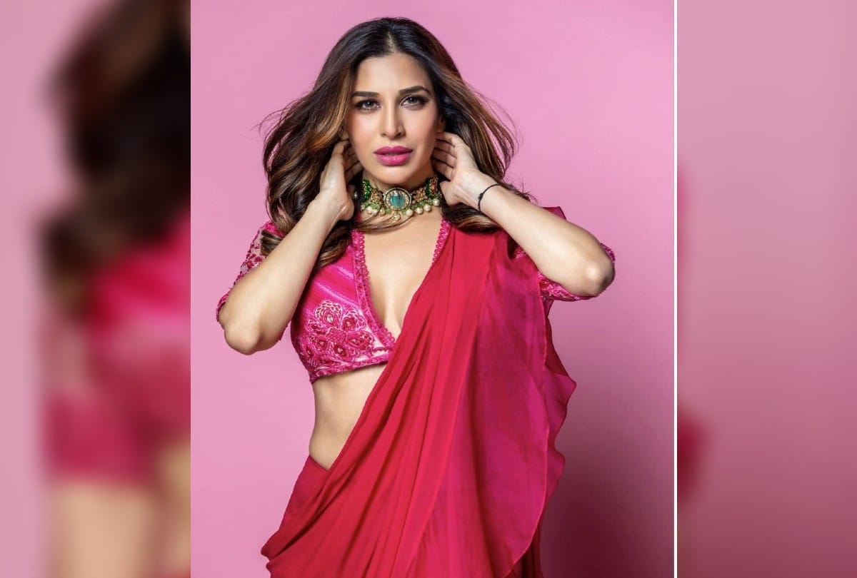 Sophie Choudry pink Ruffle saree photos and cost