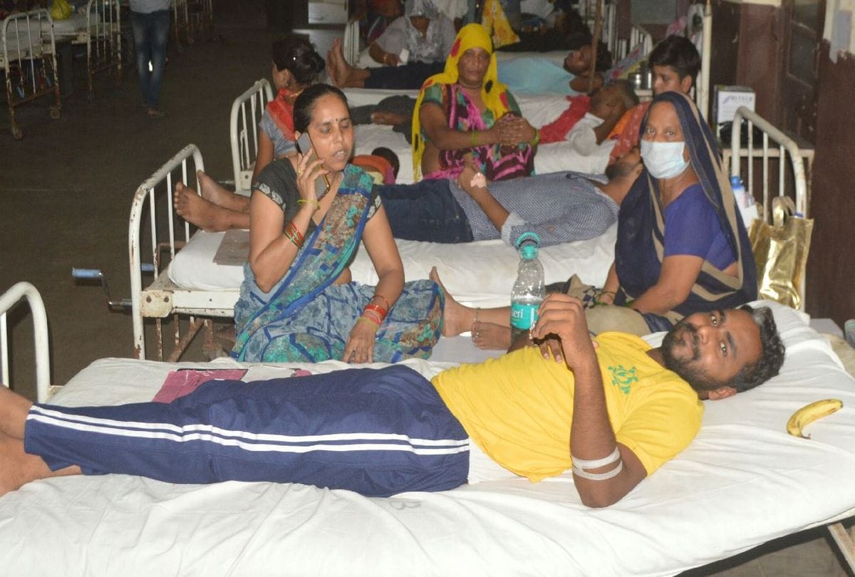 Agra Dengue Viral Fever News: 19 new patients of dengue in sn medical college Agra