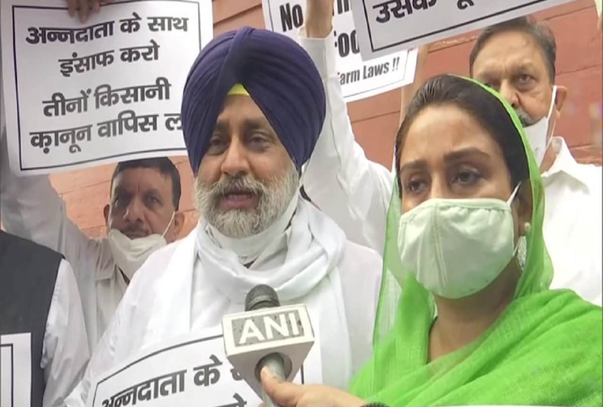 Hindi News Headlines 17 September Today: Important and big news stories of 17 September updates on Amar Ujala