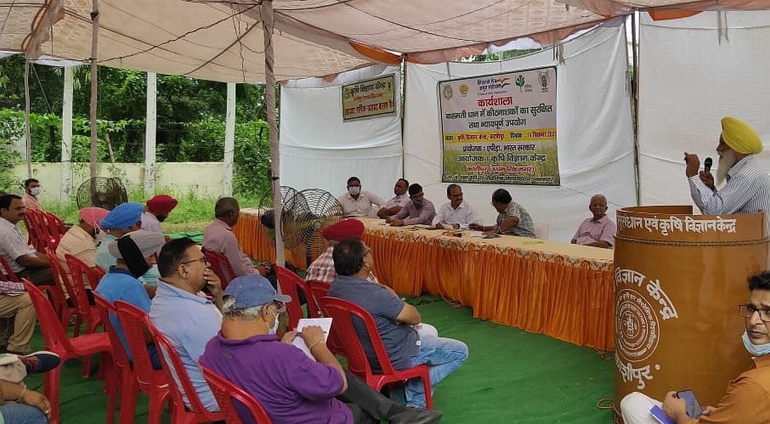 Agriculture tips by experts.