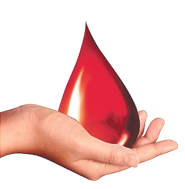 Worrying: Anemia in 48% pregnant women