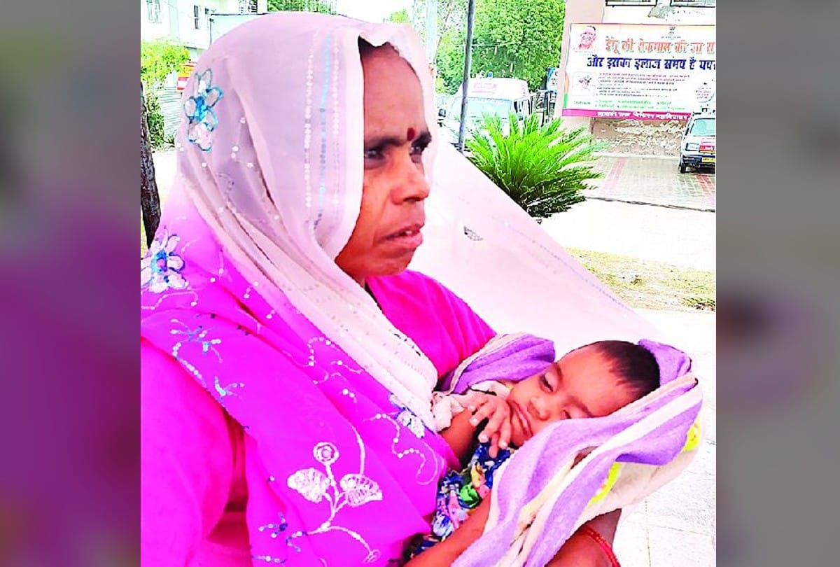 Viral Fever Dengue in Firozabad News: number of sick children increases in government hospital firozabad
