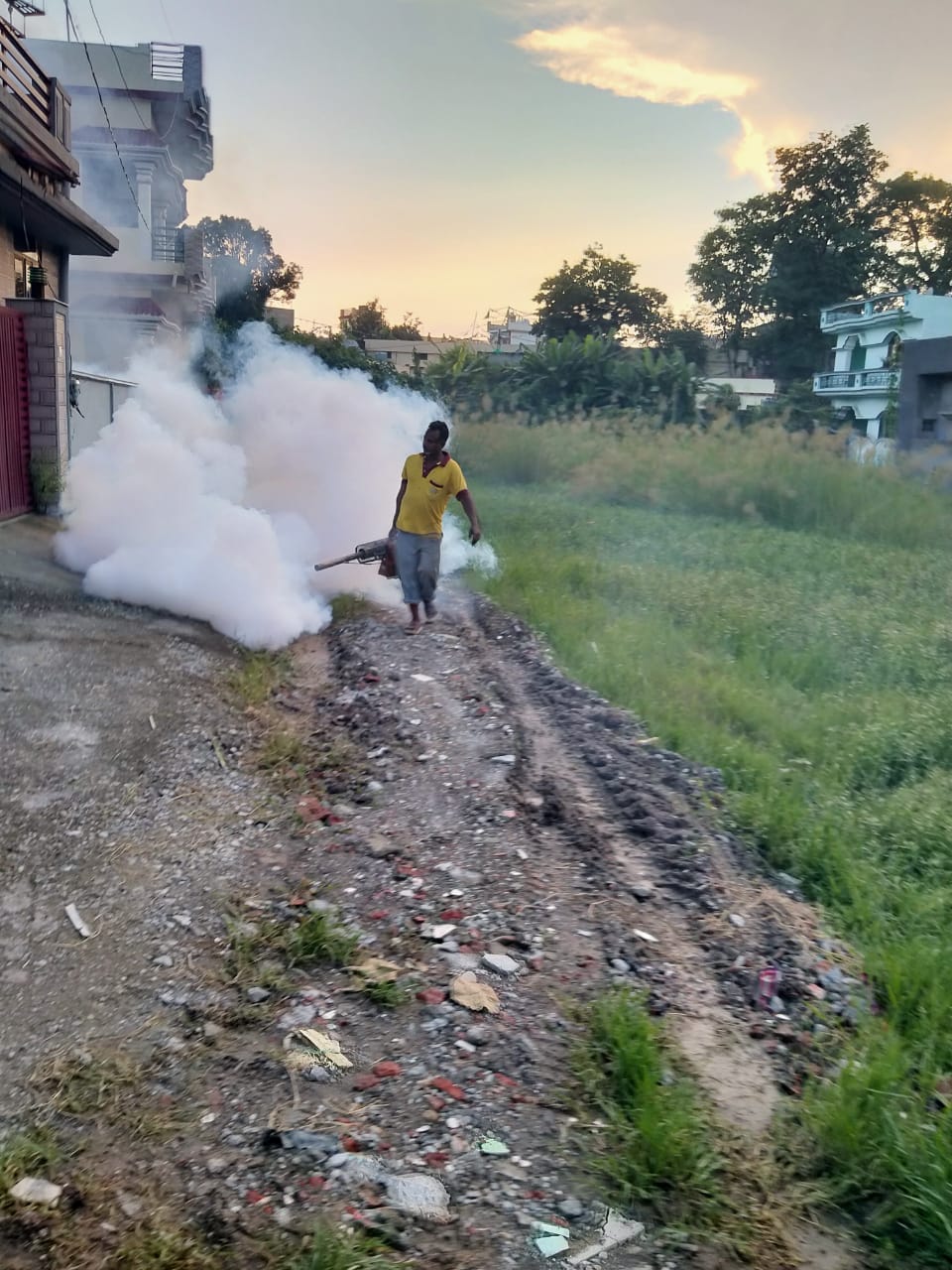 dengue in uttarakhand: two new patients found total 17 patients found