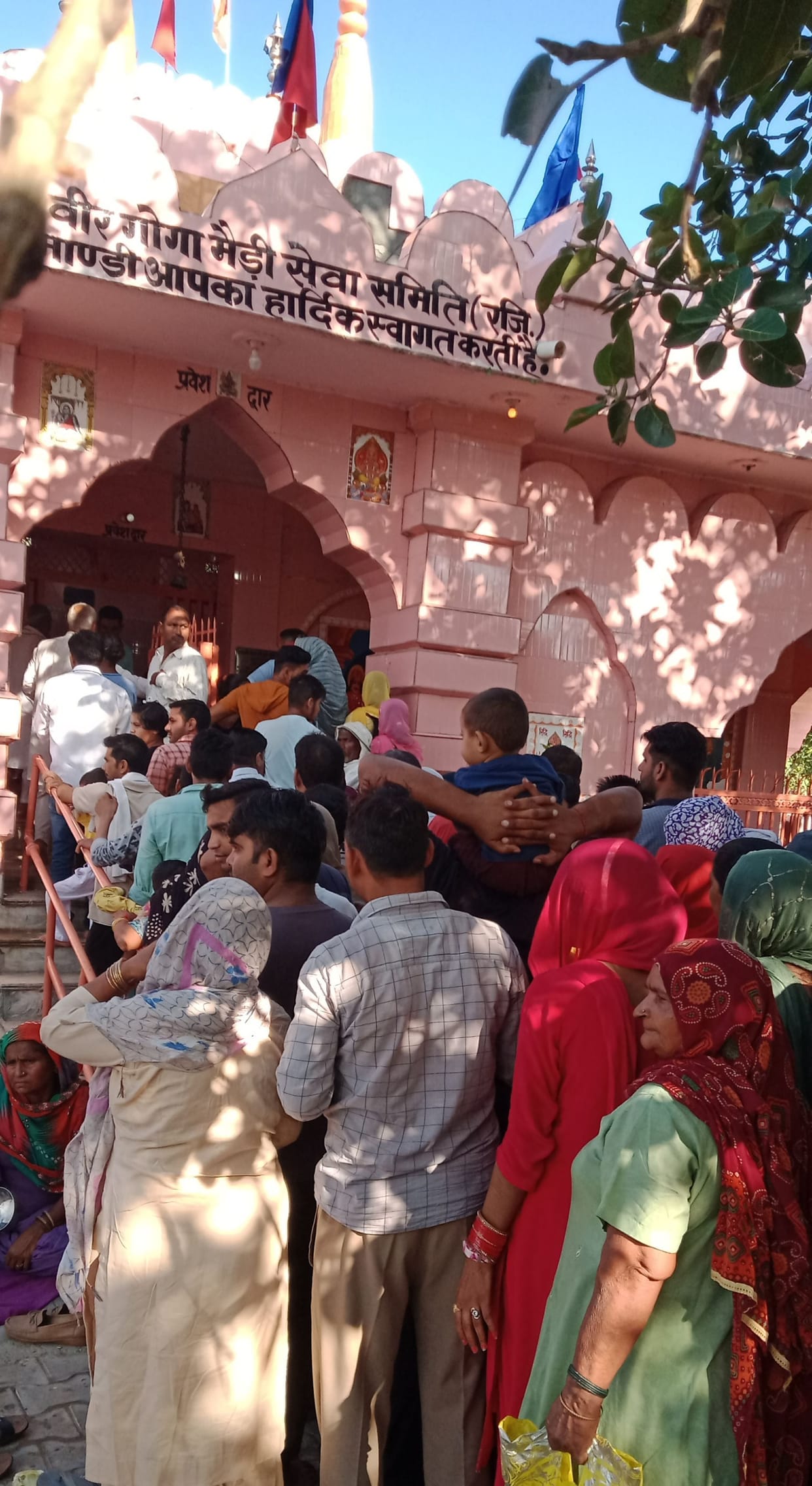 Devotees offer prayers on Goga Navami, shop at the fair