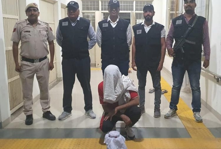 Criminal Rohit alias Bacha arrested in Rohtak by Hisar STF