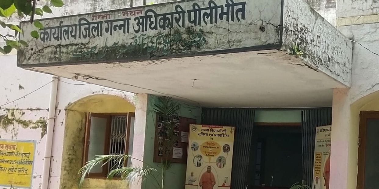 kisan