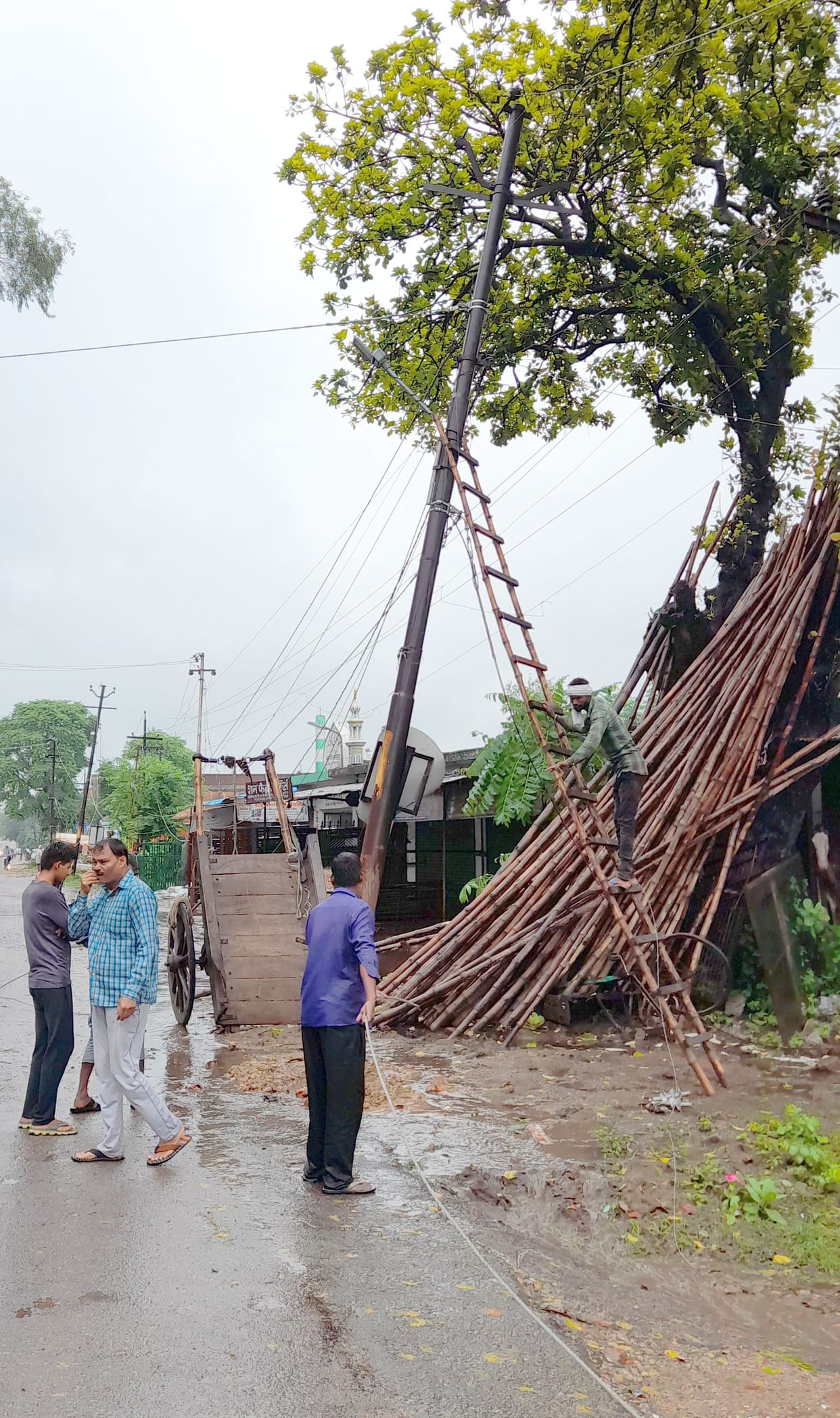 Two hundred and fifty electric poles collapsed due to rain