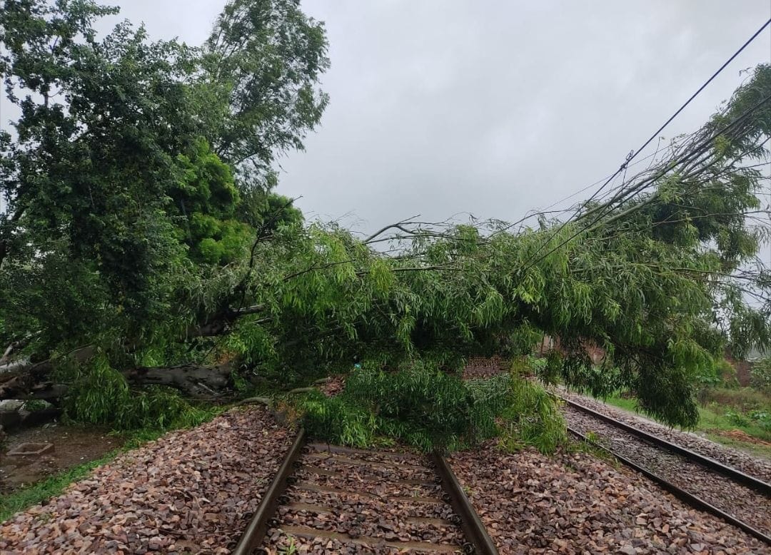 OHE wires broken due to falling trees, rail traffic affected