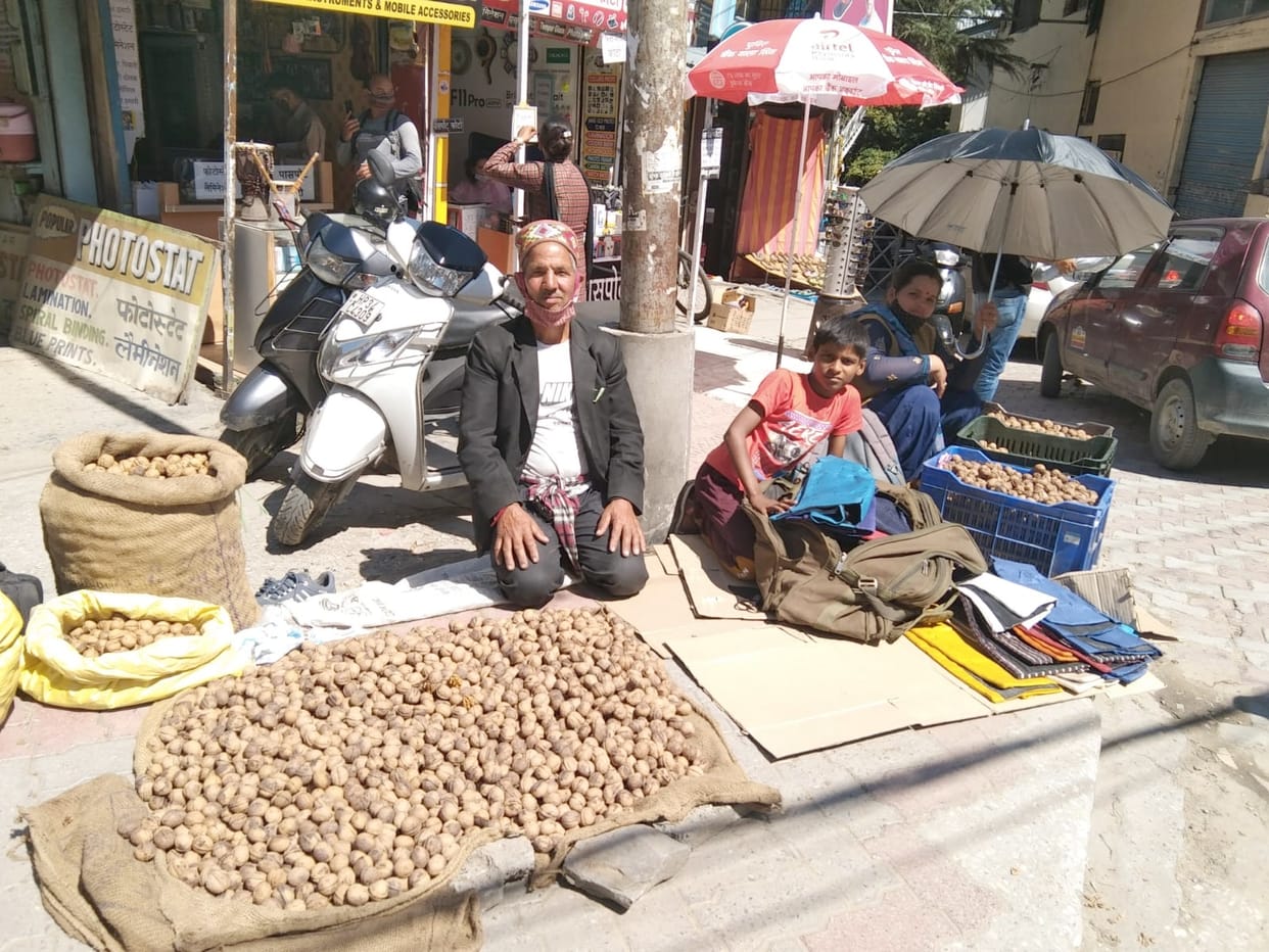 Paper walnuts being sold for Rs 500 a hundred, Large walnut prices up to Rs 150 in a year, walnuts have special significance in Sair Sankranti