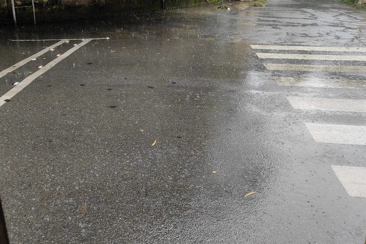 West UP Monsoon Update: The rain has destroyed the crops in West UP