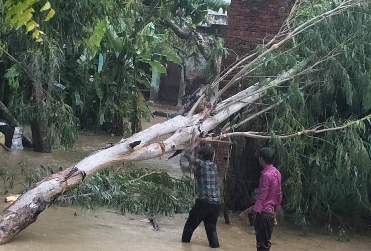 Today Weather Forecast Update in UP News: Monsoon in up, heavy rain in these cities of up