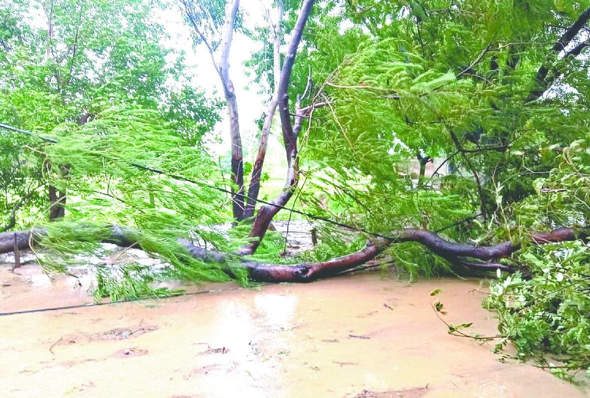 up weather update latest news: heavy rainfall in mainpuri