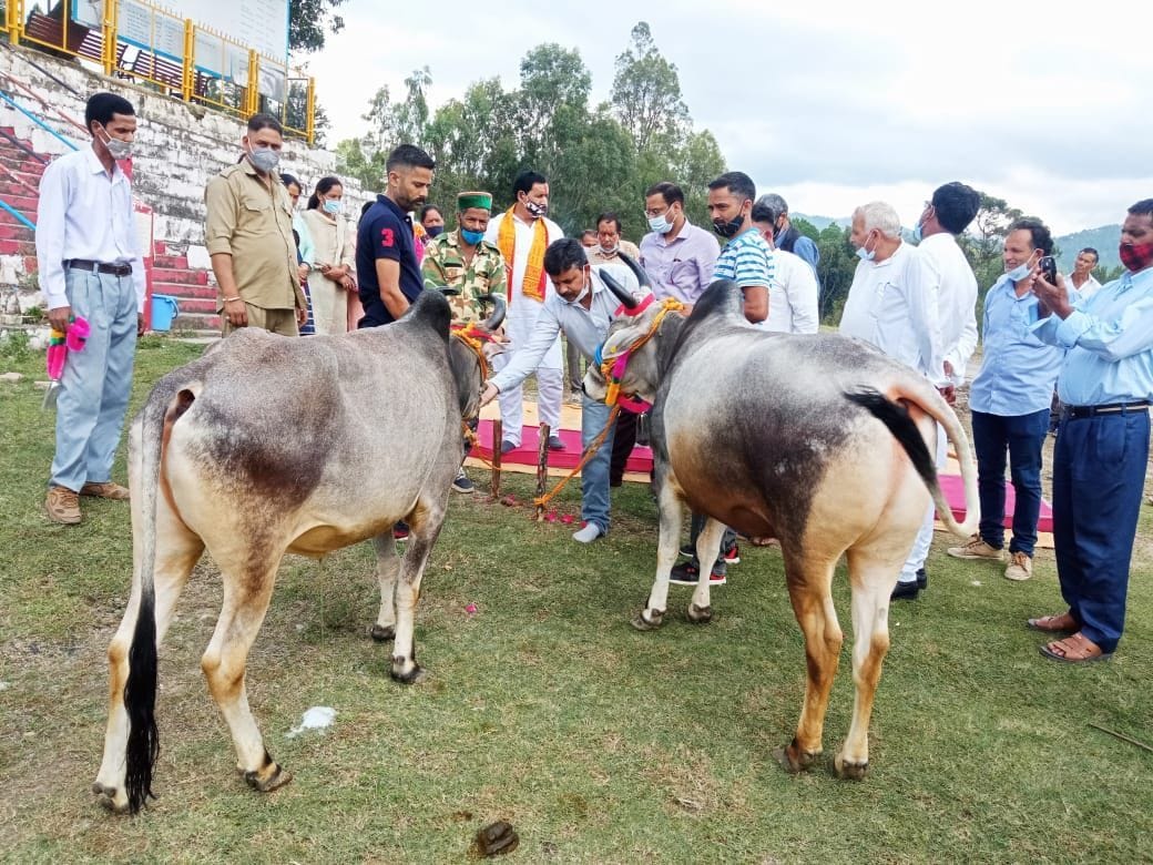 District level Khyod Nalwad fair postponed, only tradition played