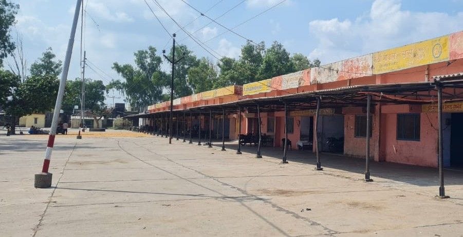 Hathras: Revenue fell due to affected arrival of crops in Mandi Committee, officers upset