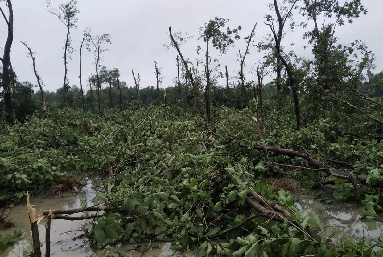 Destruction caused by strong wind and rain, power failure on the way